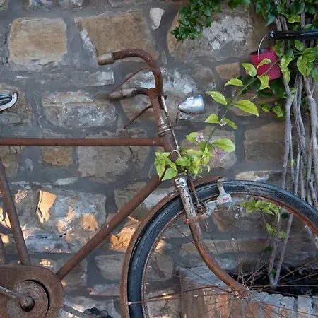 Istrian Casa Ladonia By Locap Group Portoroz