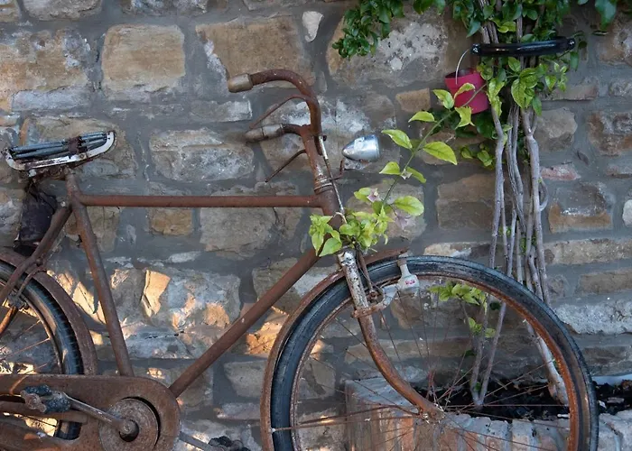 Istrian Casa Ladonia By Locap Group Порторож